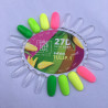 27D scent neon TULIP.1 241